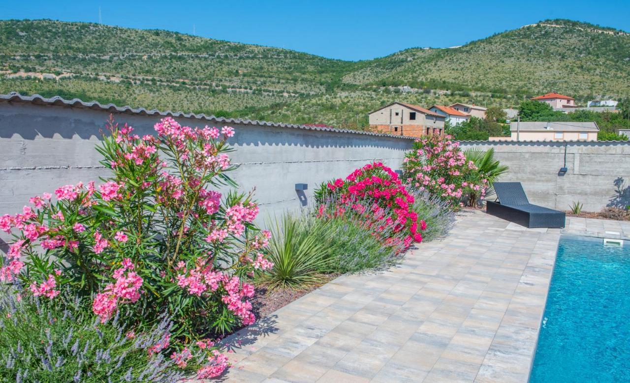 Villa Carpe Diem - With Private Pool Mostar Eksteriør bilde