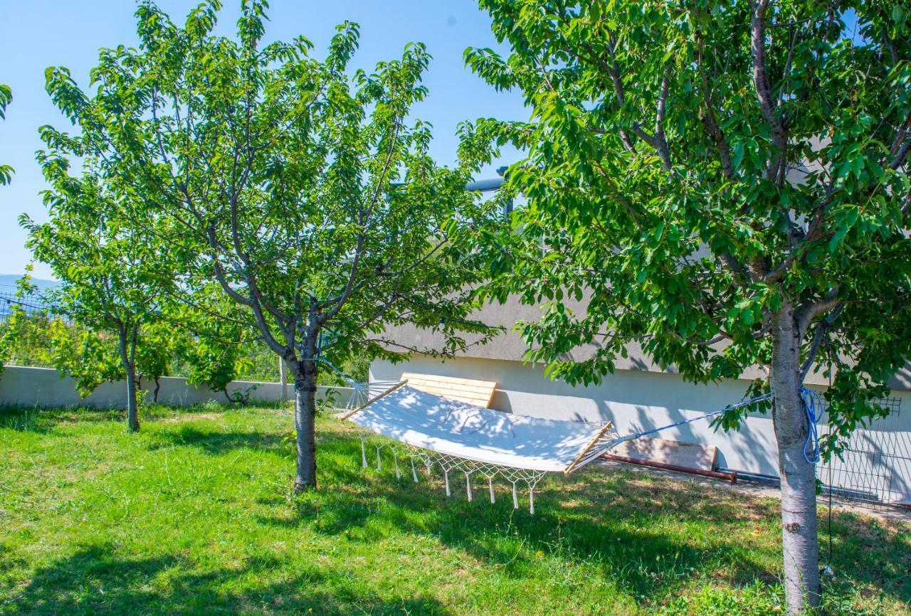 Villa Carpe Diem - With Private Pool Mostar Eksteriør bilde